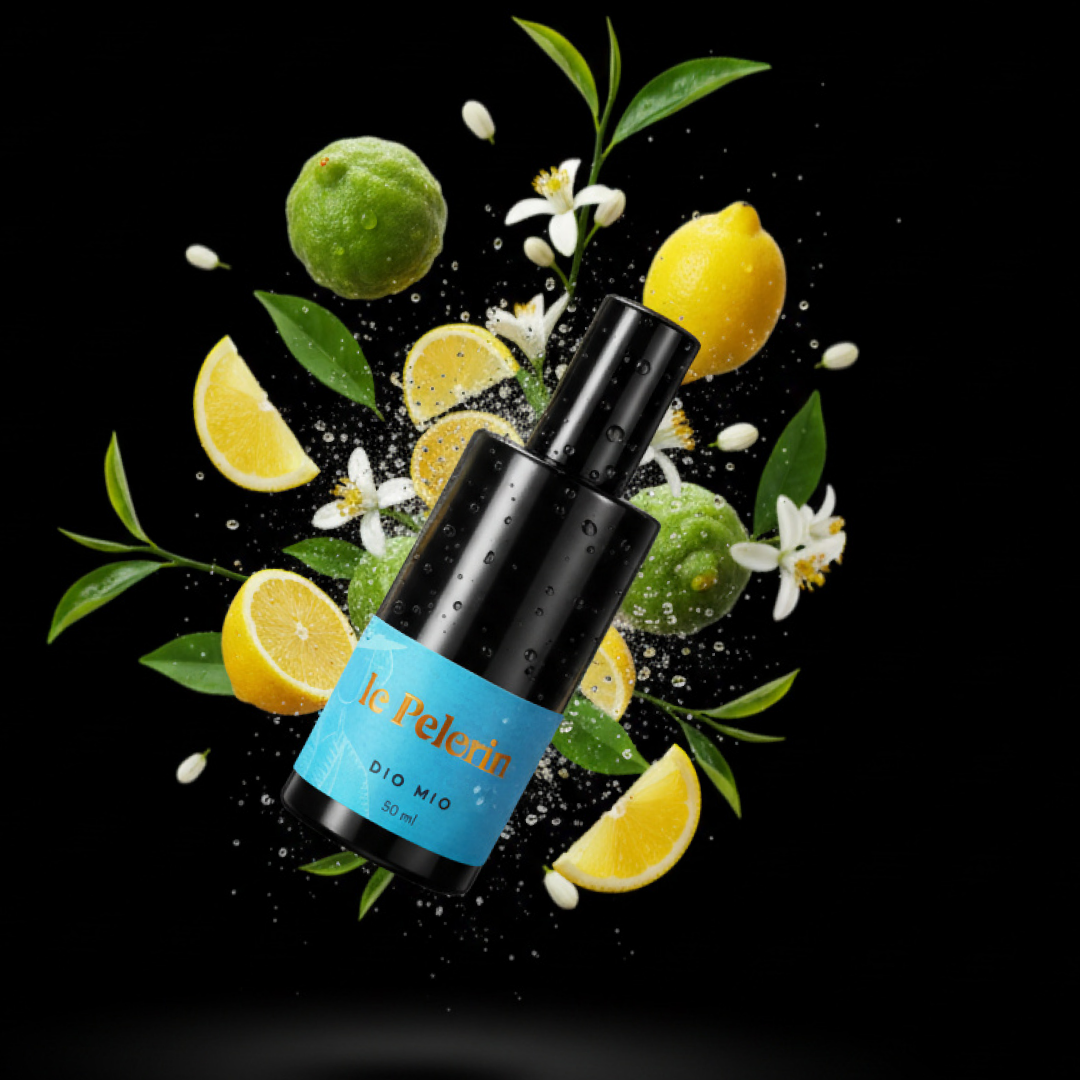 Le Pelerin Parfum парфюмированная вода  DIO MIO mini